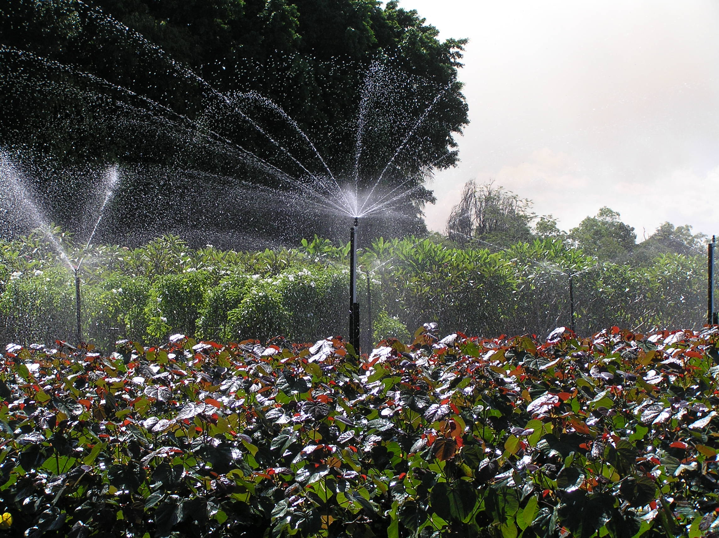 NGIA NGIA staff visit the Top End